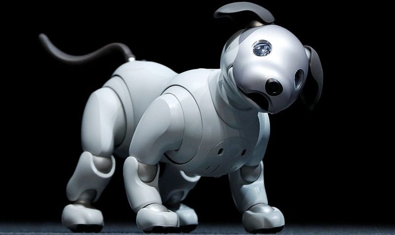 ソニーが改良した犬型ロボット「aibo」を米国で発売へ