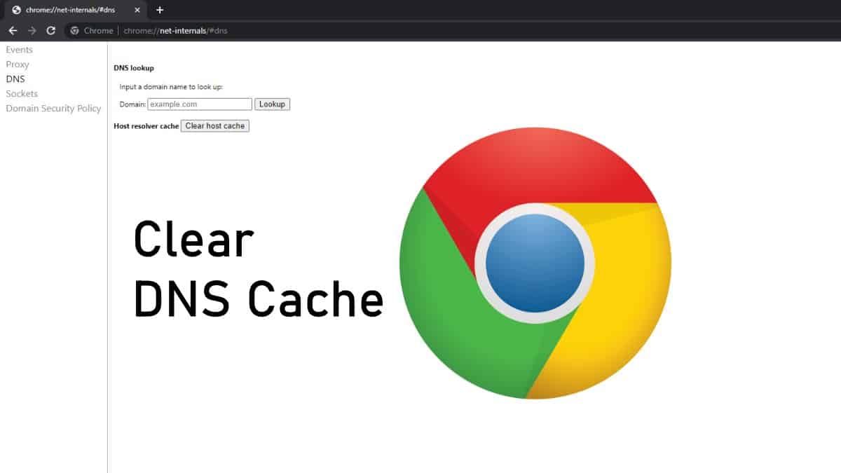 chrome://net-internals/#dns 